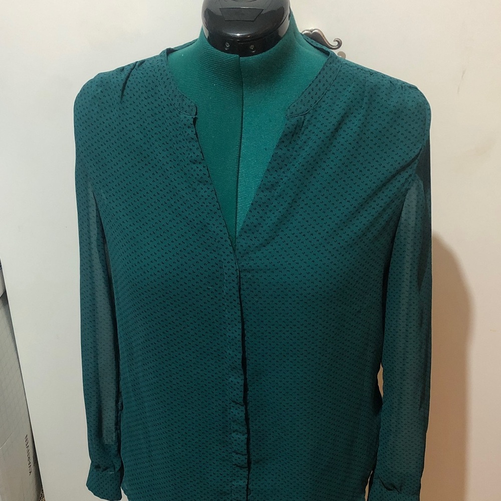Elegant Sheer Green Blouse
